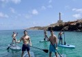 Transparent paddle surf